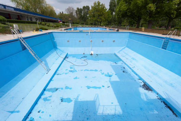 Best Local water damage restoration  in Wrightwood, CA