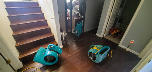 Best Water damage restoration near me  in Wrightwood, CA