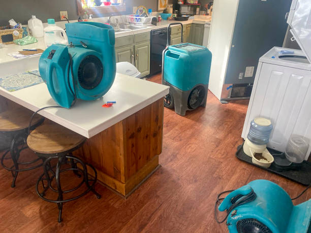  Wrightwood, CA Water damage restoration Pros