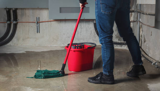 Best Basement water damage restoration  in Wrightwood, CA