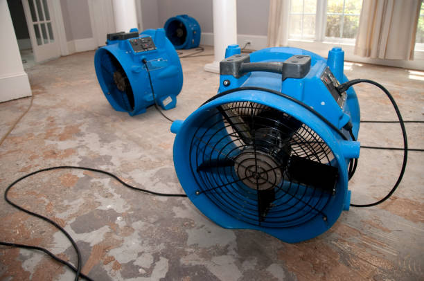 Best Flood restoration services  in Wrightwood, CA
