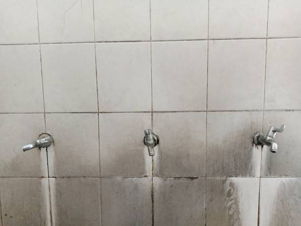 Best Professional water damage repair  in Wrightwood, CA