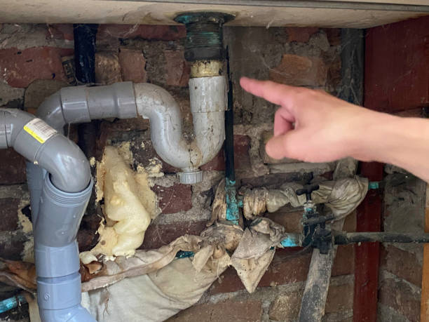 Best Water damage restoration near me  in Wrightwood, CA