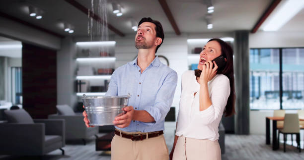 Best Commercial water damage restoration  in Wrightwood, CA