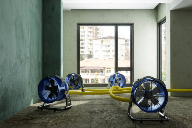 Best Water damage contractors near me  in Wrightwood, CA