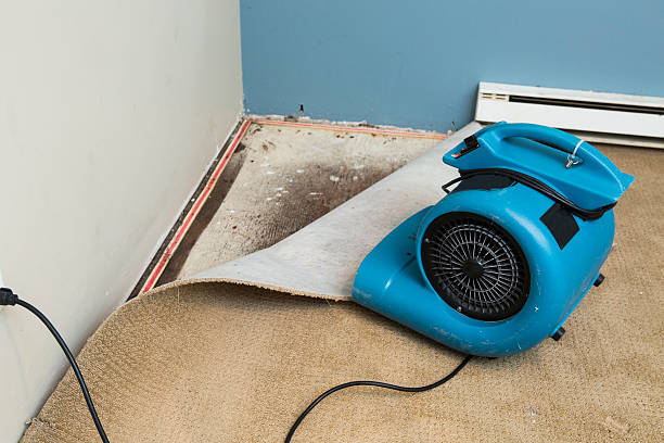 Best Water damage restoration near me  in Wrightwood, CA